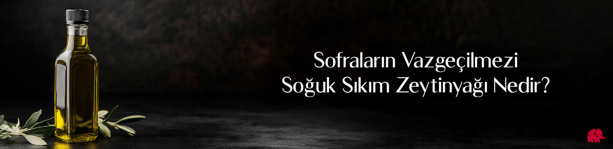 Sofraların Vazgeçilmezi Soğuk Sıkım Zeytinyağı Nedir?