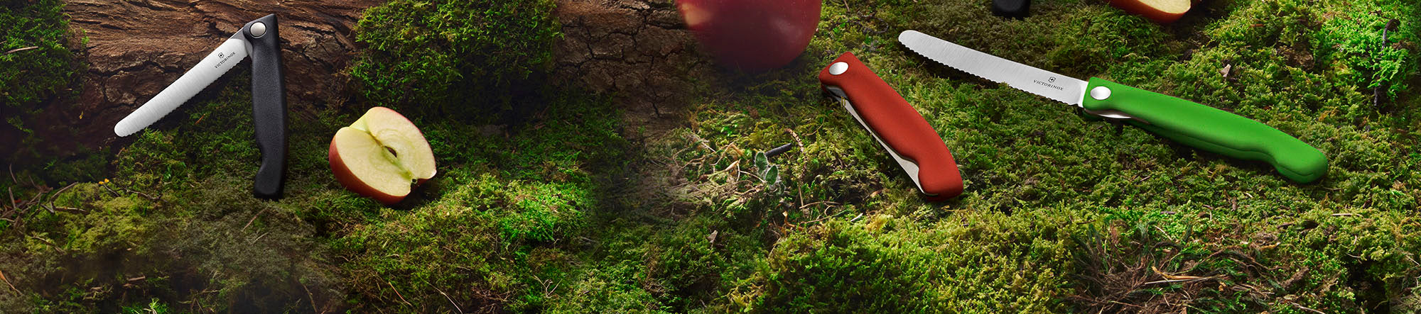 lp-kapak-victorinox.jpg